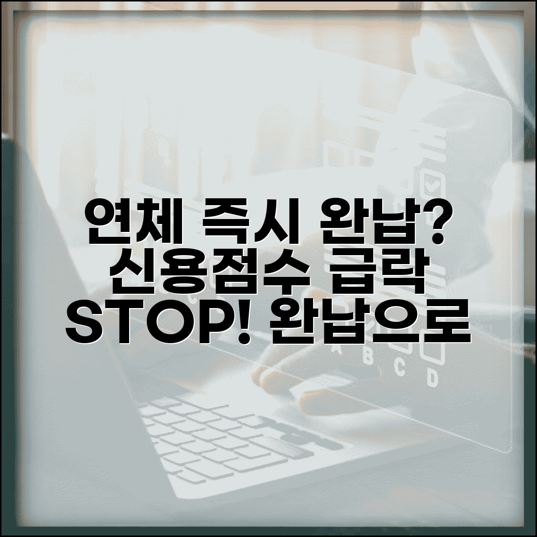 연체 즉시 완납 신용정보 등록 여부와 영향