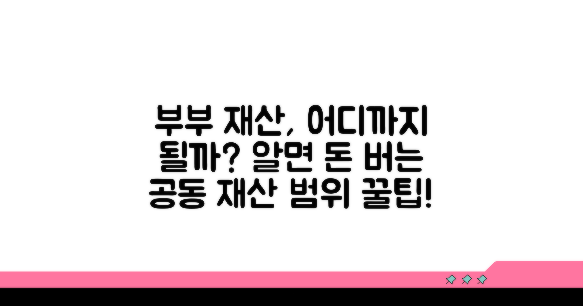 부부 공동 재산 인정 범위