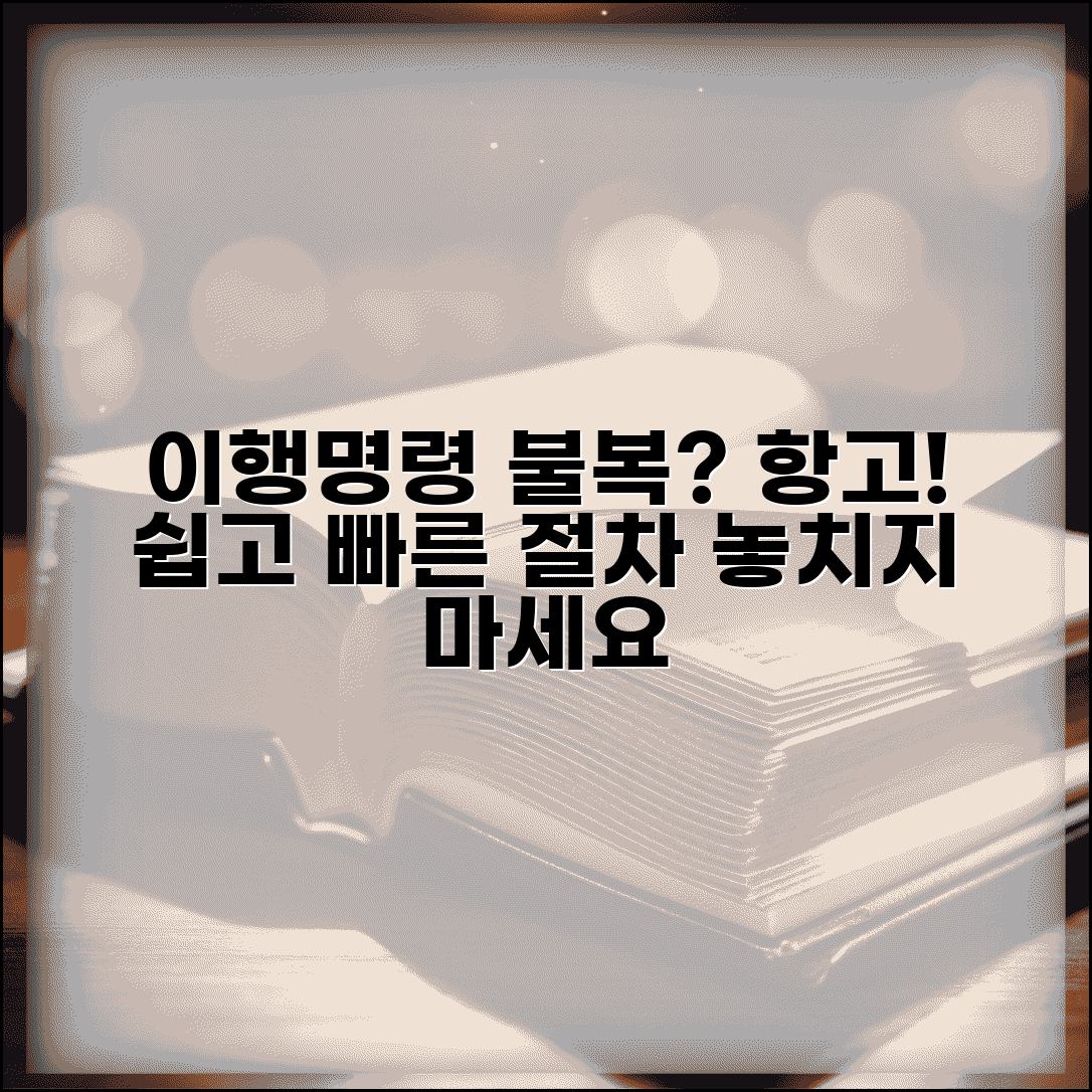 이행명령 불복 항고 방법 | 이행명령 결정 불복시 항고 절차