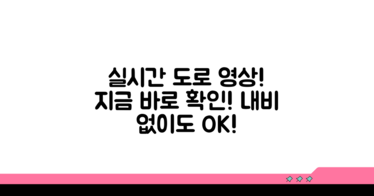 실시간 도로 상황 영상 확인법