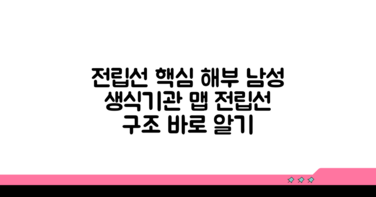 남성 생식기관 핵심, 전립선 해부학적 구조