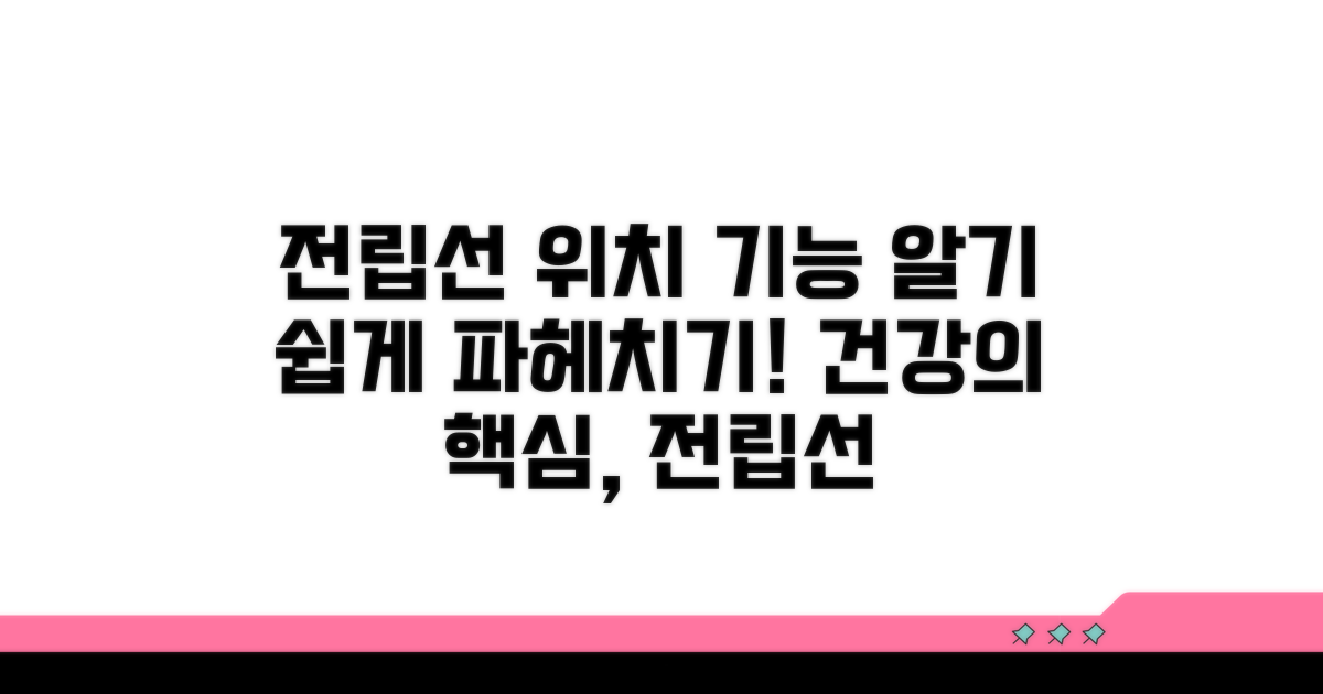 전립선 위치와 주요 기능 알아보기