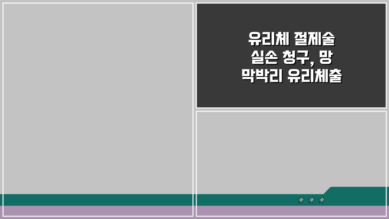 유리체 절제술 실손 청구, 망막박리 유리체출혈 수술 비용 환급받는 법
