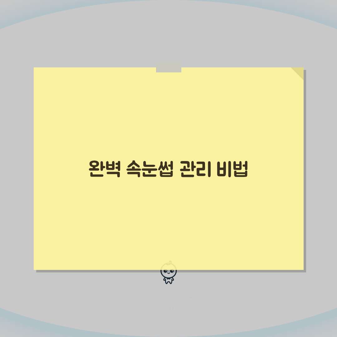 평촌동 속눈썹연장 BEST 7 | 글루, 리프팅, 관리법 완전 정복